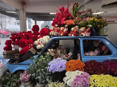 Kwiaciarnia "Niebieski Maluch"